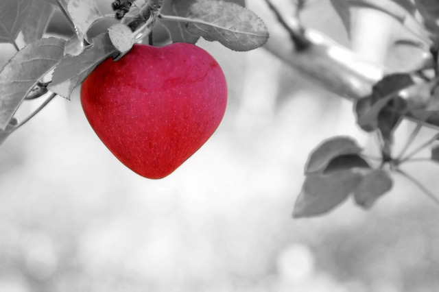 apple-love-heart-poetry-Punjabi